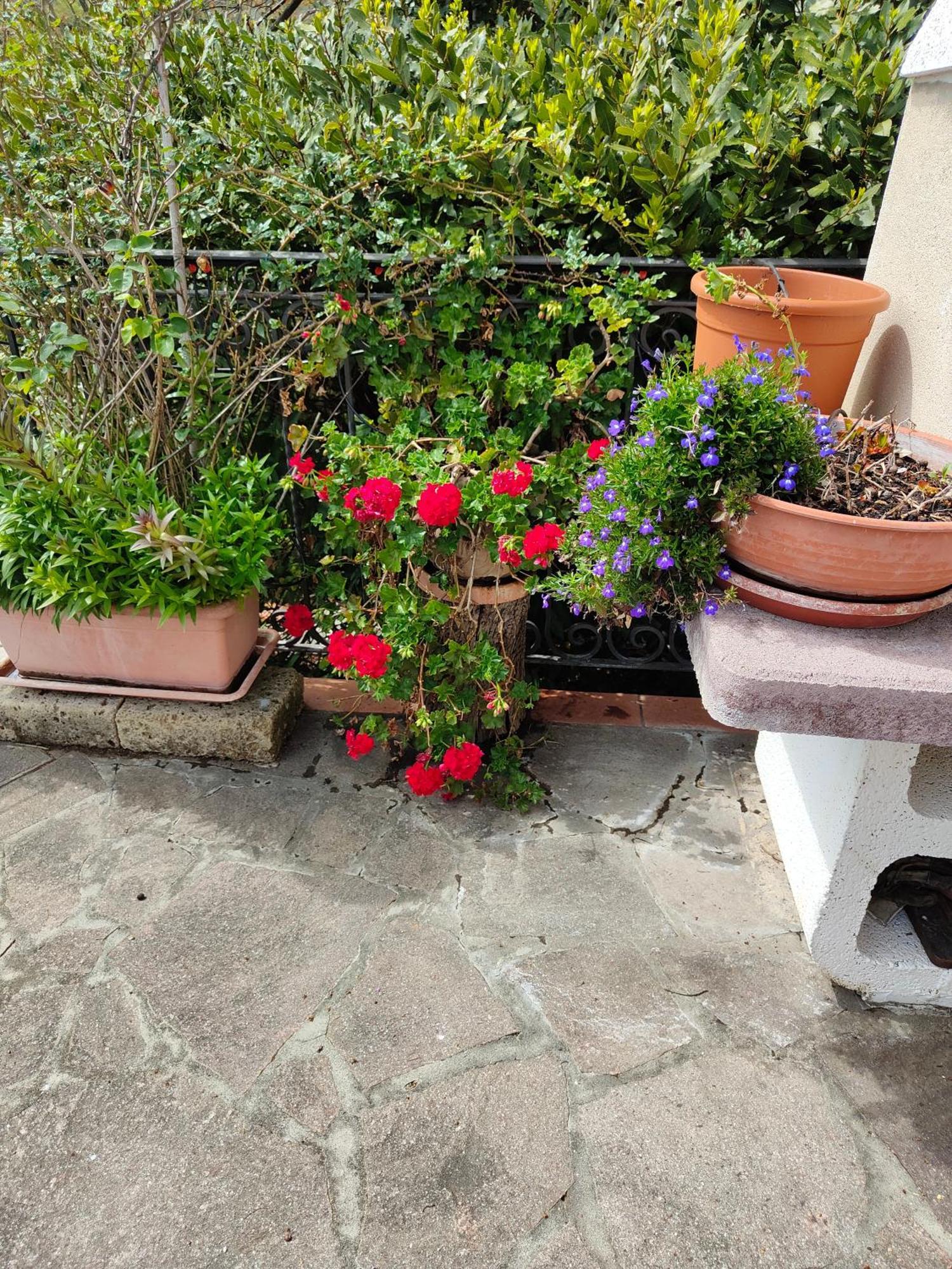 Il Diacciarello Apartment Gabbro Екстериор снимка